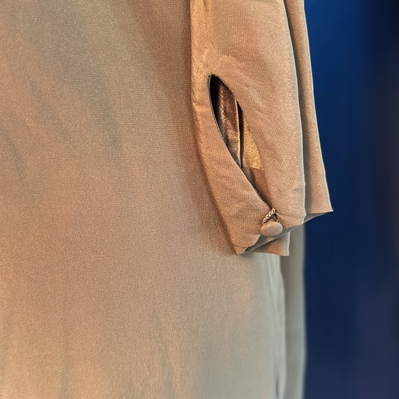 Women’s Elizabeth and James bronze colored silk dress size small NWOT - Picture 3 of 8